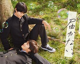 漳浦网站优化公司招聘